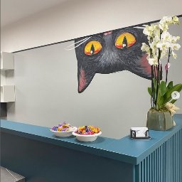 weterynarz golub dobrzyn centrum zdrowia zwierzat