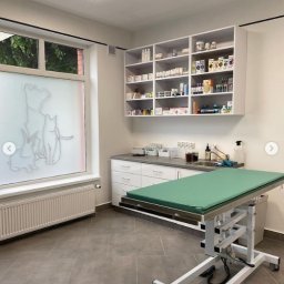 weterynarz golub dobrzyn centrum zdrowia zwierzat