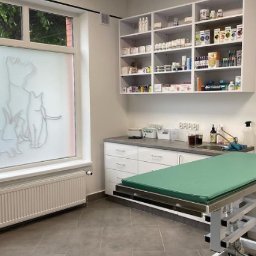 Weterynarz Golub-Dobrzyń 1