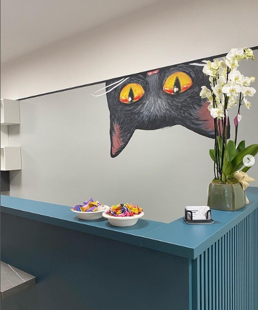 Recepcja w gabinecie weterynaryjnym z dekoracją ściany przedstawiającą czarnego kota z żółtymi oczami, miseczki z kolorowymi smakołykami i storczyk w doniczce.
