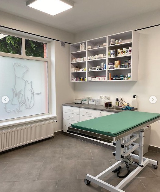 weterynarz golub dobrzyn centrum zdrowia zwierzat