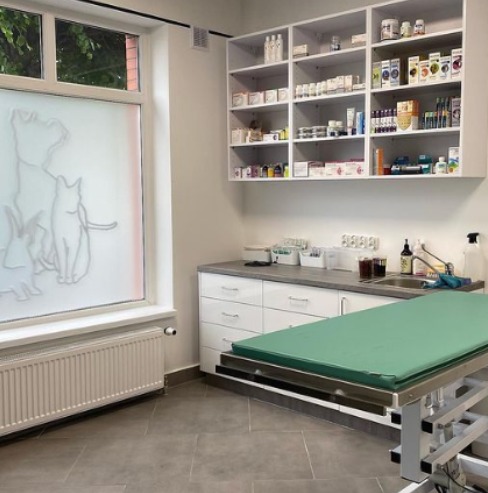 Wnętrze gabinetu z kozetką weterynaryjną, szafkami z lekami i oknem z motywami zwierząt.