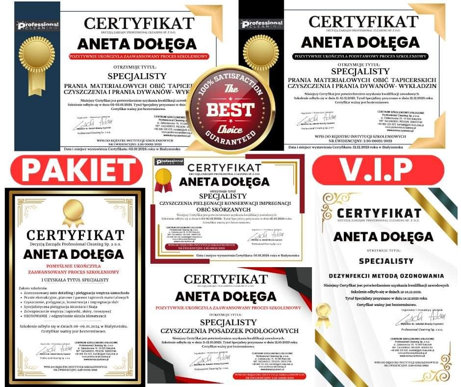 Zestaw certyfikatów firmy sprzątającej Aneta Dołęga, potwierdzających ukończenie szkoleń specjalistycznych w różnych dziedzinach, w tym prania tapicerki, dywanów, czyszczenia skór i posadzek,...