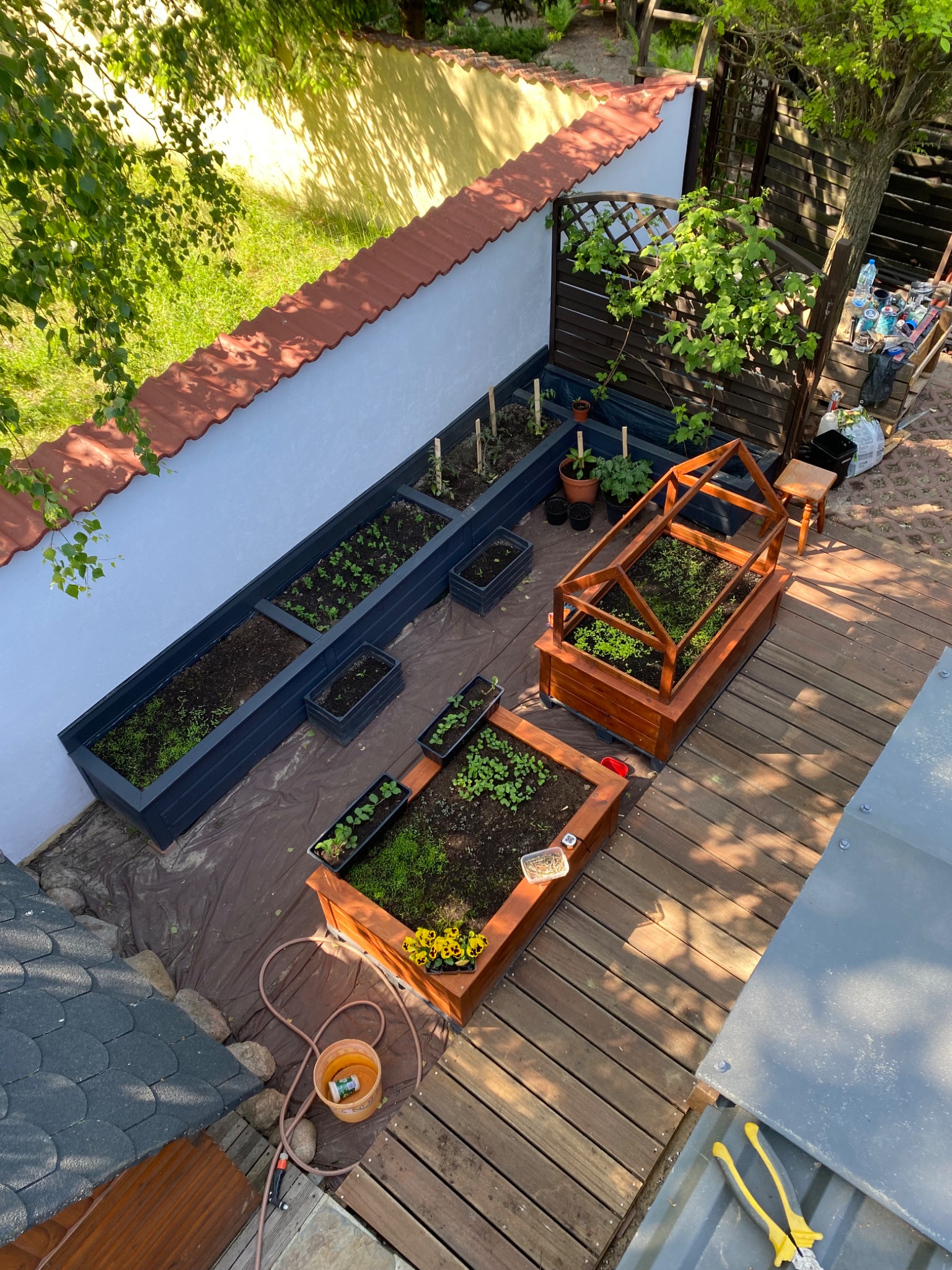 Widok z góry na drewniany taras z podwyższonymi grządkami, niektóre z nich z konstrukcjami szklarniowymi, oraz narzędziami ogrodniczymi porozrzucanymi na desce.