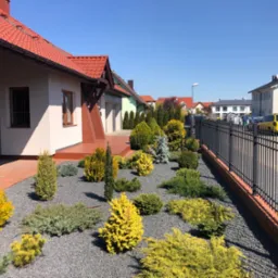 Nowoczesny ogród przydomowy z ozdobnymi krzewami iglastymi w odcieniach zieleni i żółci, wysypany szarym grysem, z widocznym fragmentem domu z czerwoną dachówką i czarnym ogrodzeniem.