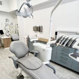 Dentysta Artysta - Wola i Bemowo - Wnętrze gabinetu z nowoczesnym fotelem dentystycznym w odcieniach szarości, na ścianie dekoracja z motywem roślinnym, w tle biurko z komputerem.