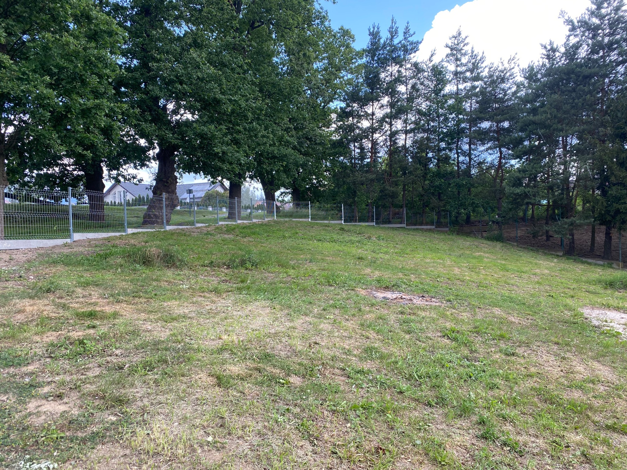 Szary metalowy płot panelowy otaczający trawnik z drzewami liściastymi i iglastymi w tle, widoczne domy jednorodzinne.