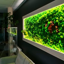 Meblitom - Panel z mchu chrobotka reniferowego w białej ramie z podświetleniem LED, dekoracja ścienna w salonie z szarą sofą i przeszkloną witryną.