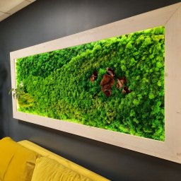 Meblitom - Panel z mchu chrobotka reniferowego w drewnianej ramie podświetlonej ledami, z dekoracyjnymi elementami z drewna, zamontowany na ciemnoszarej ścianie nad żółtą sofą. Obok widoczny przeszklony...