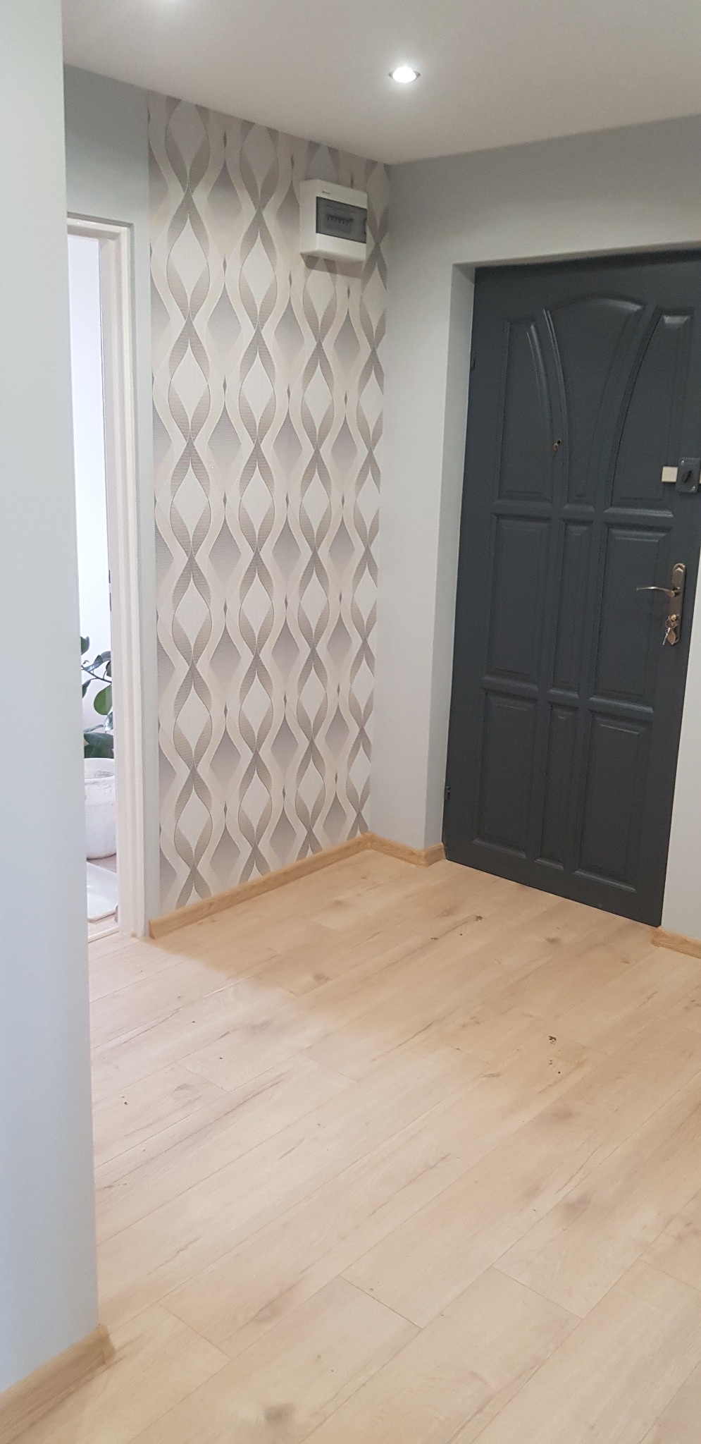 Wnętrze przedpokoju z szarą tapetą w geometryczny wzór, ciemnoszarymi drzwiami wejściowymi i jasną podłogą laminowaną.