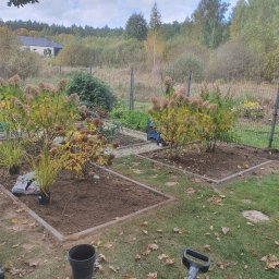 Przycinanie drzew Białystok 4