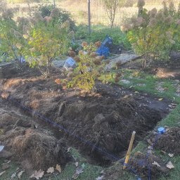 Mateusz Molski - Przygotowanie gruntu pod nasadzenia w ogrodzie: wykopany rów wyznaczony sznurkiem, narzędzia ogrodnicze obok, w tle krzewy hortensji i skrzynki.