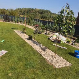 Mateusz Molski - Świeżo założony trawnik z wytyczoną ścieżką z białych kamieni, wzdłuż której posadzone są młode drzewka, widoczne worki z ziemią i narzędzia ogrodnicze.