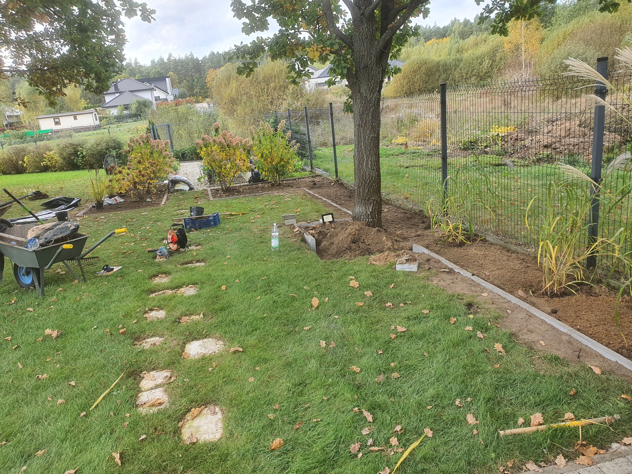 Przygotowanie terenu pod rabatę wokół drzewa, z widocznymi obrzeżami, wykopaną ziemią, narzędziami ogrodniczymi i ścieżką z kamieni na trawniku.