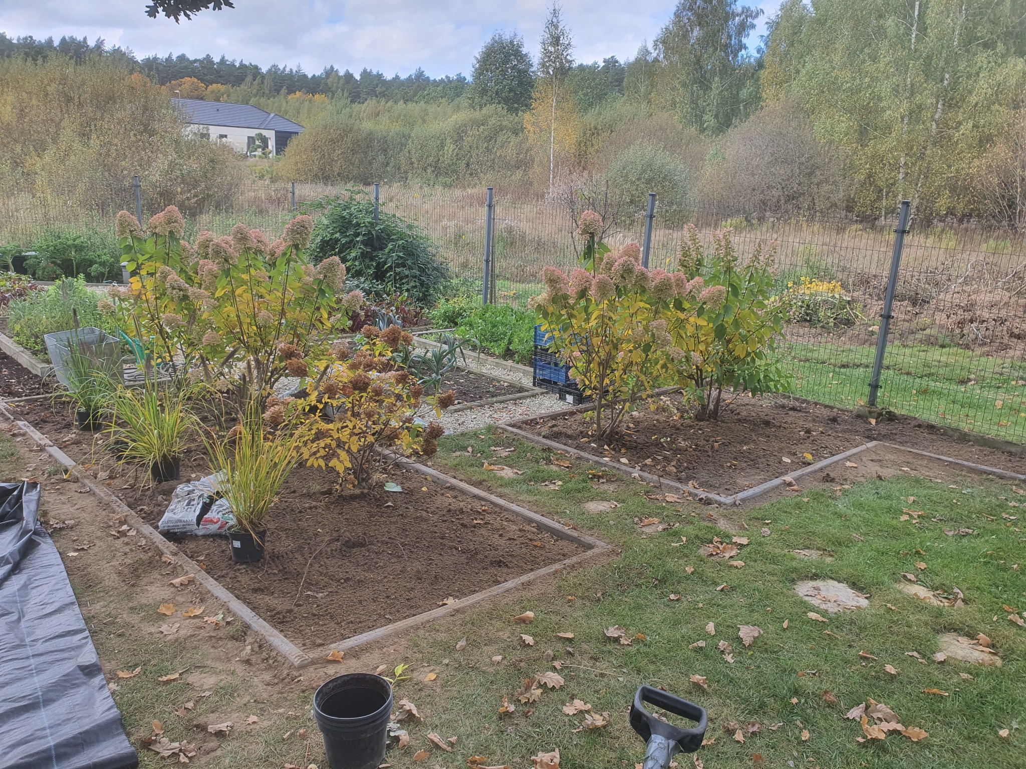 Przygotowane rabaty z obrzeżami pod nasadzenia roślin ozdobnych, widoczne sadzonki w doniczkach, ziemia ogrodowa i narzędzia ogrodnicze, w tle dom i drzewa.