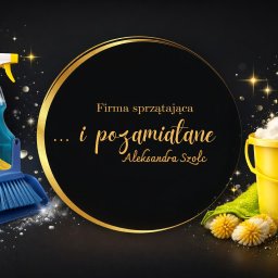 Firma sprzątająca ... I Pozamiatane Aleksandra Szolc - Serwis Sprzątający Orzesze