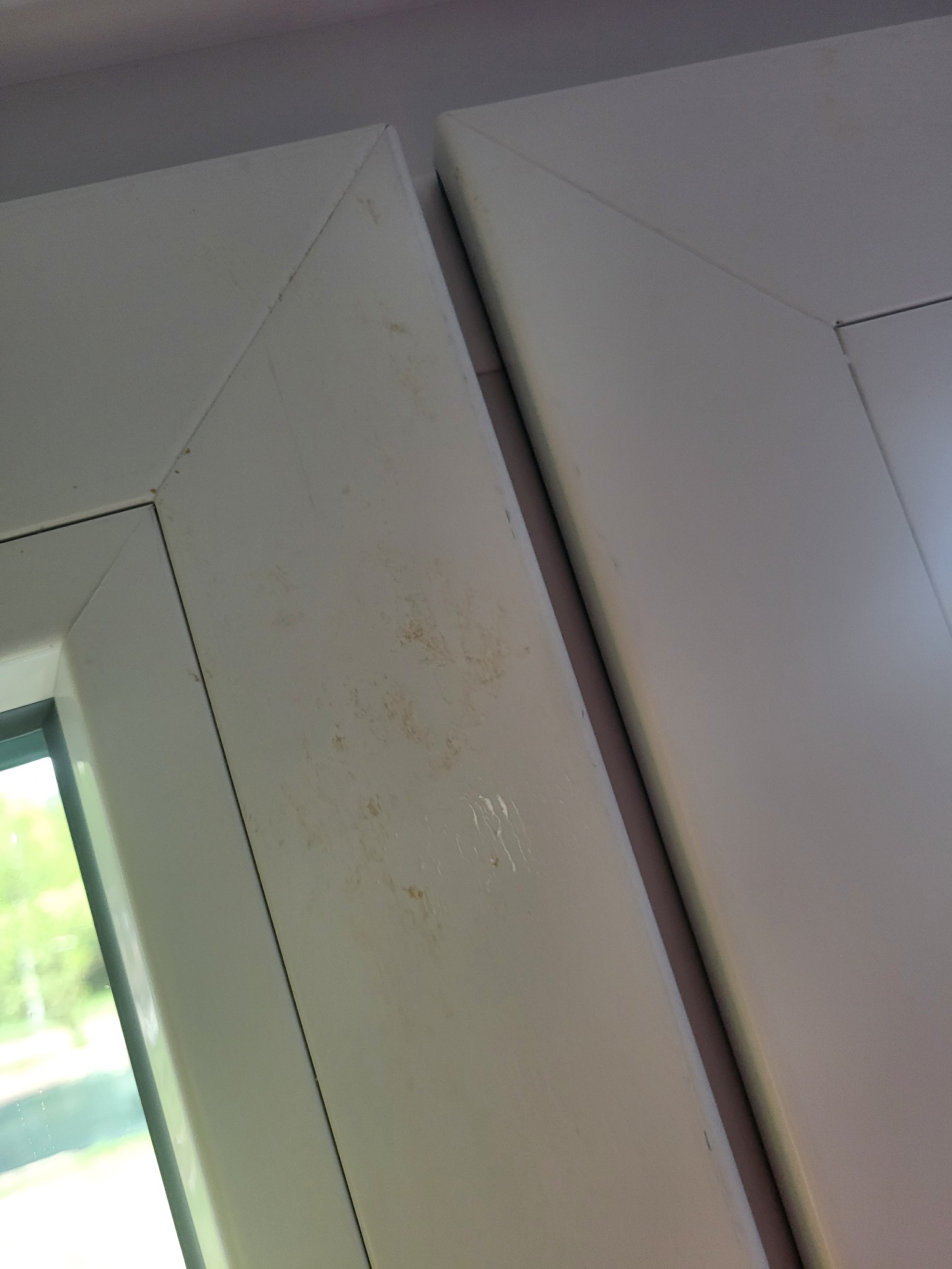 Bliższe ujęcie brudnej, białej ramy okiennej z widocznymi plamami i zaciekami. Fragment szyby z zielonym tłem drzew widoczny po lewej stronie.