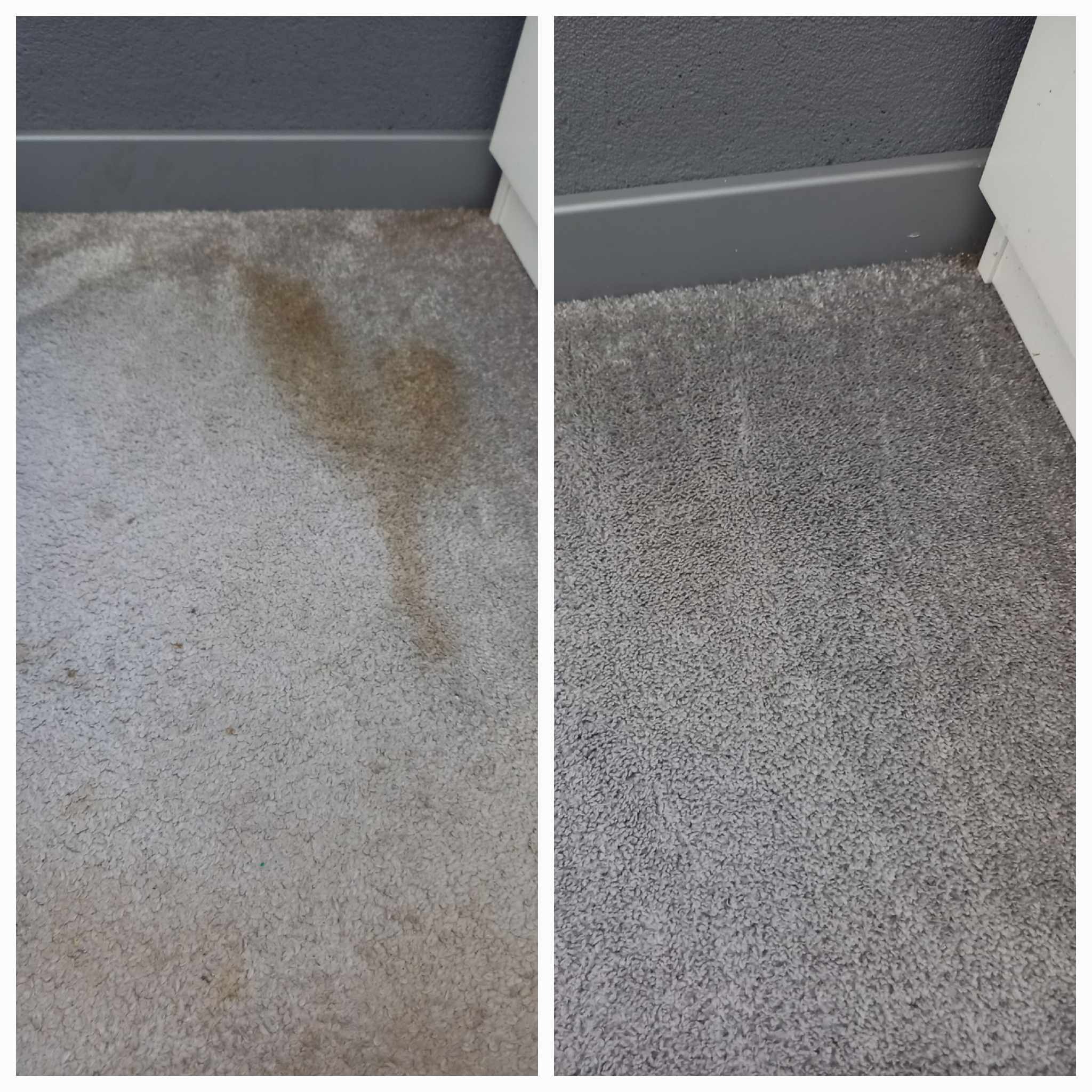 Dywan w odcieniach szarości przed i po czyszczeniu, widoczne plamy usunięte w rogu pokoju przy listwie przypodłogowej