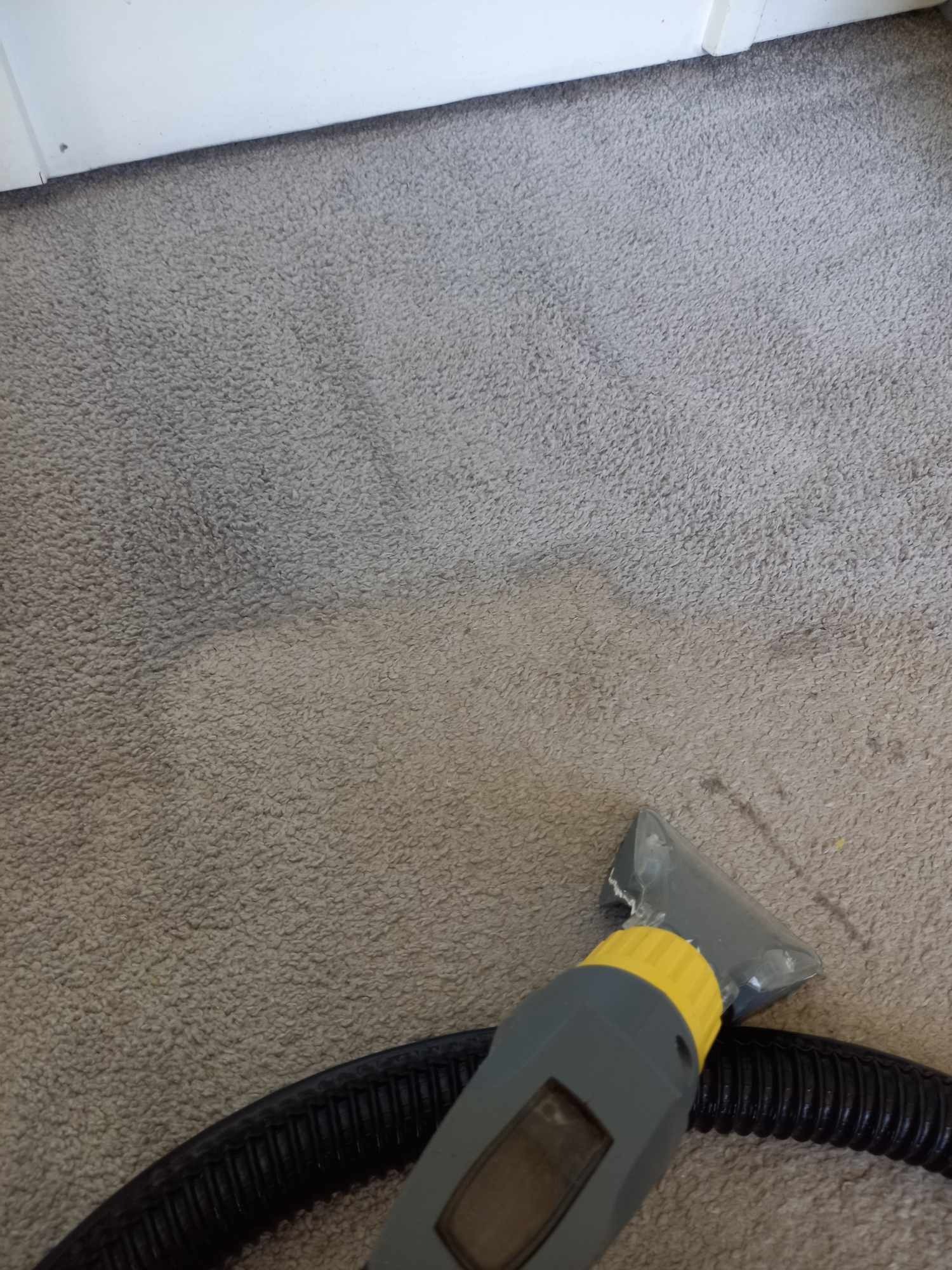 Fragment dywanu z widoczną różnicą w kolorze po czyszczeniu, obok dysza odkurzacza piorącego z żółtą nakrętką i czarnym wężem.