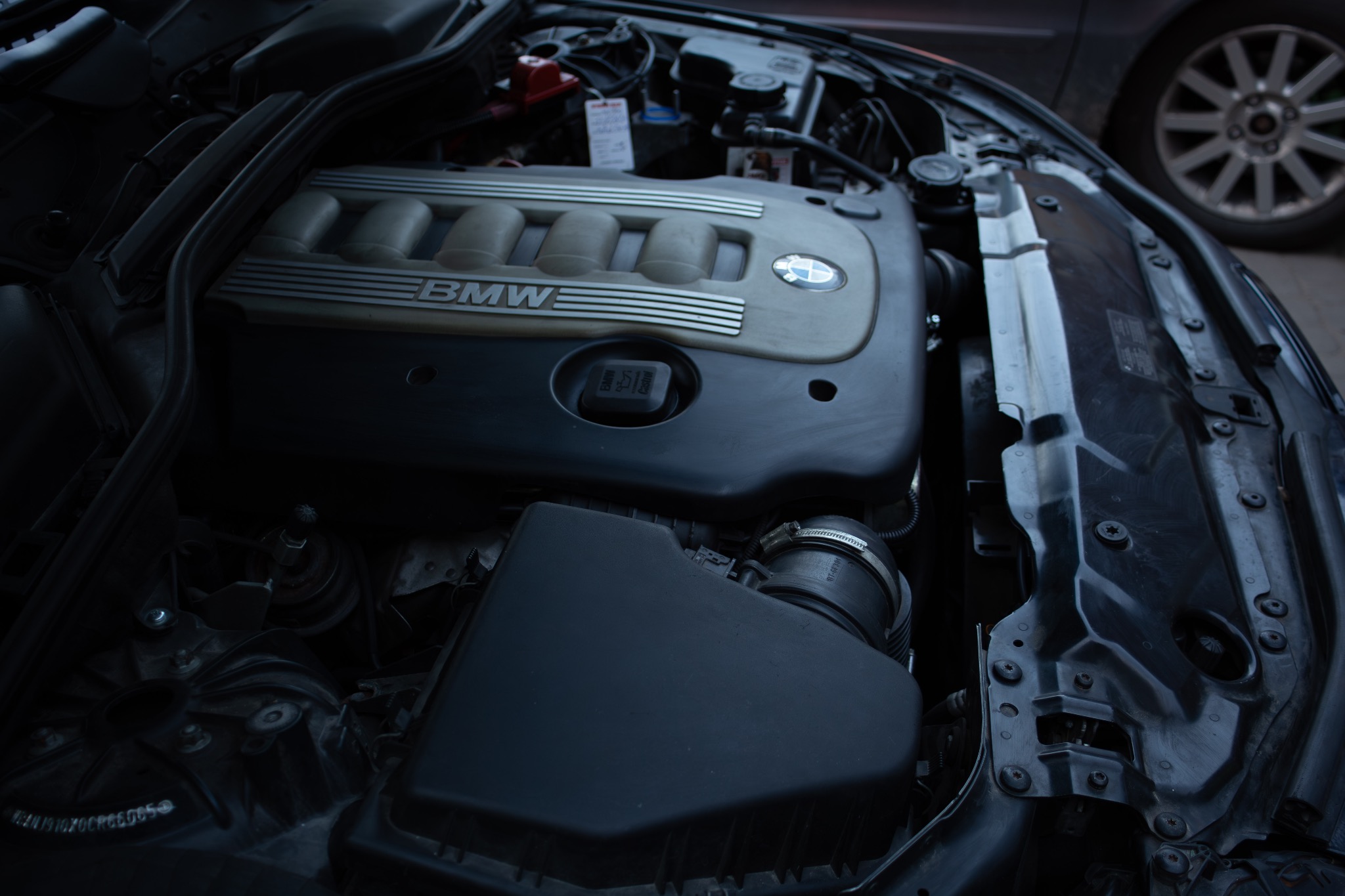 Otwarta maska samochodu BMW, widoczny silnik z plastikową osłoną z napisem BMW i logo, akumulator w tle, fragment koła innego pojazdu w prawym górnym rogu.