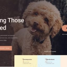 ExpandIT Tomasz Bylka - Układ strony internetowej z tekstem 'Helping Those In Need' i zdjęciem uroczego, kudłatego psa w tle, przyciskiem 'Meet Your New Best Friend' i sekcją 'Adoption Steps'.