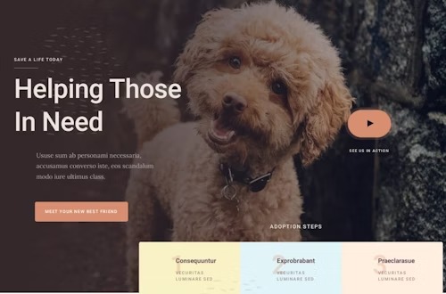 Układ strony internetowej z tekstem 'Helping Those In Need' i zdjęciem uroczego, kudłatego psa w tle, przyciskiem 'Meet Your New Best Friend' i sekcją 'Adoption Steps'.
