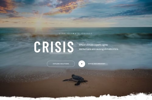 Strona internetowa z motywem ekologicznym przedstawiająca żółwia morskiego na plaży o zachodzie słońca, z hasłem 'CRISIS' i wezwaniem do zatrzymania zmian klimatycznych.