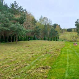 Zięba Ogrody - Częściowo skoszony trawnik z widocznymi śladami po kosiarce i resztkami trawy, w tle rząd tuj i osoba w ciemnym ubraniu, na drugim planie kosiarka.