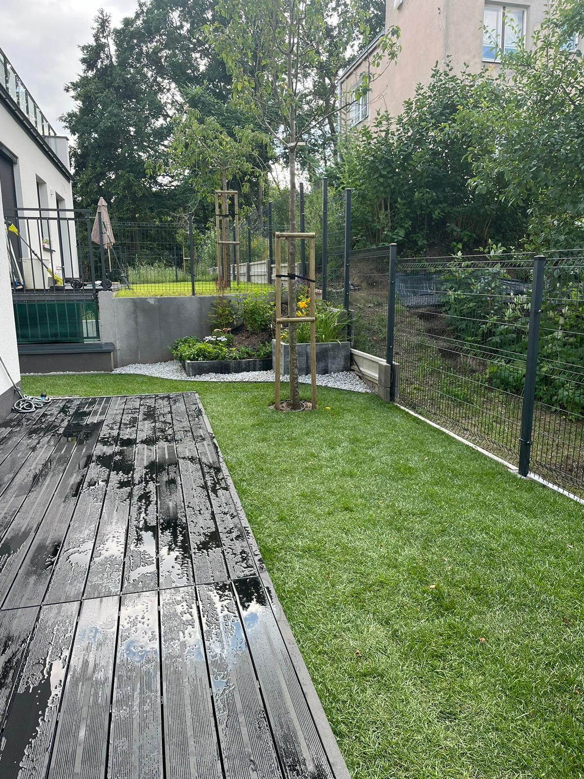 Nowoczesny ogród w Gdyni po deszczu: ciemne deski tarasu z kroplami wody, świeżo założony trawnik, młode drzewka z podporami, rabaty kwiatowe i szara siatka ogrodzeniowa.