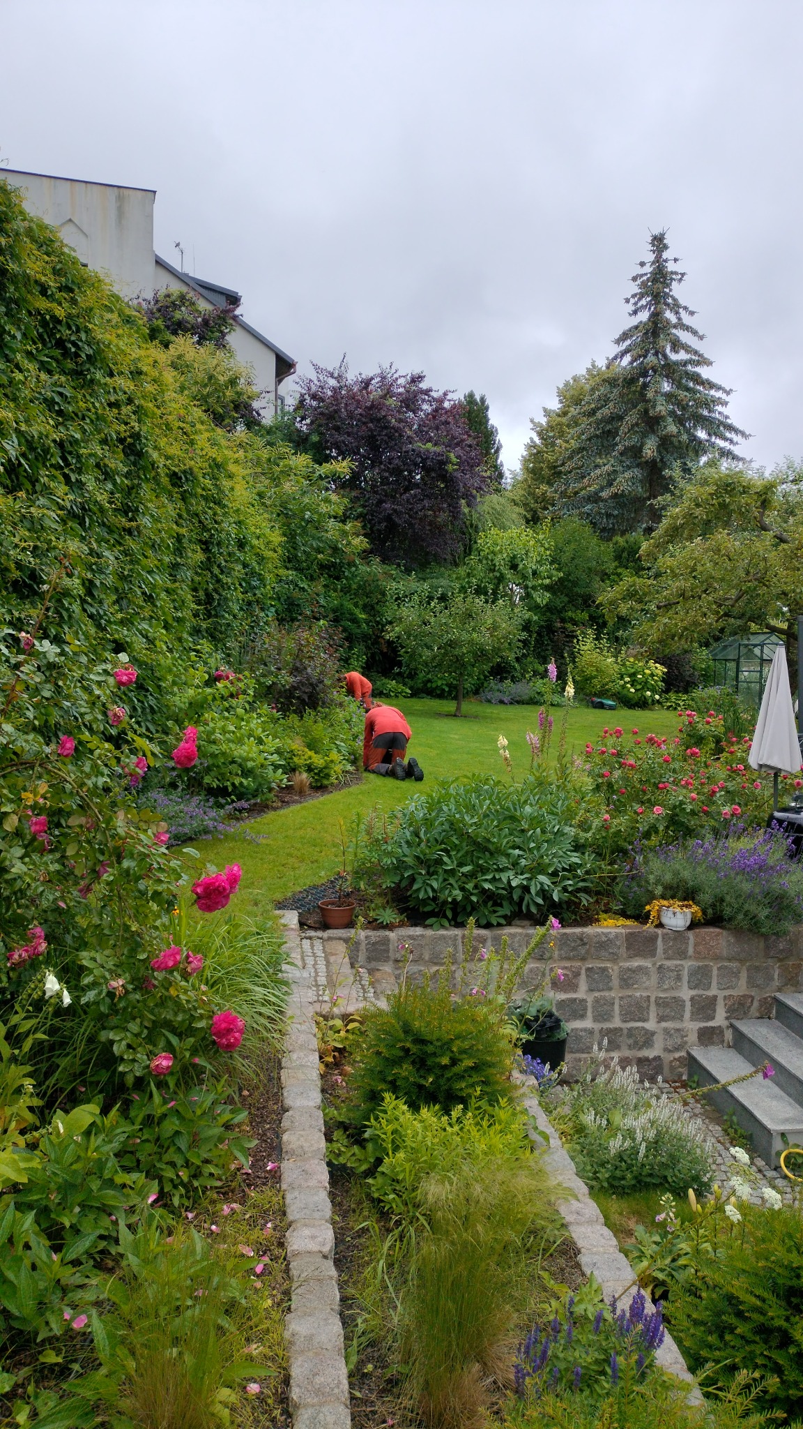 Dwaj ogrodnicy w pomarańczowych strojach pielęgnują bujny ogród z różami, trawą i różnorodną roślinnością, widok z góry na kamienną ścieżkę i schody.