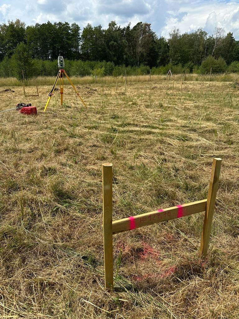 Prace geodezyjne w terenie: tyczka geodezyjna, niwelator na statywie i drewniane paliki z oznaczeniami wysokości na zarośniętej działce, w tle drzewa.
