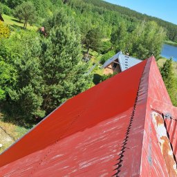 Paweł ZaborowskiDachy - Czerwony dach z blachy trapezowej po malowaniu, widoczne ślady niedokładnego krycia, w tle las i błękitne niebo.