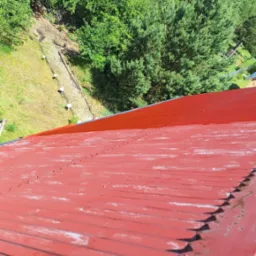 Widok z góry na czerwoną, pomalowaną blachodachówkę z widocznymi śladami użytkowania i odpryskami farby, w tle zieleń drzew i fragment budynku.