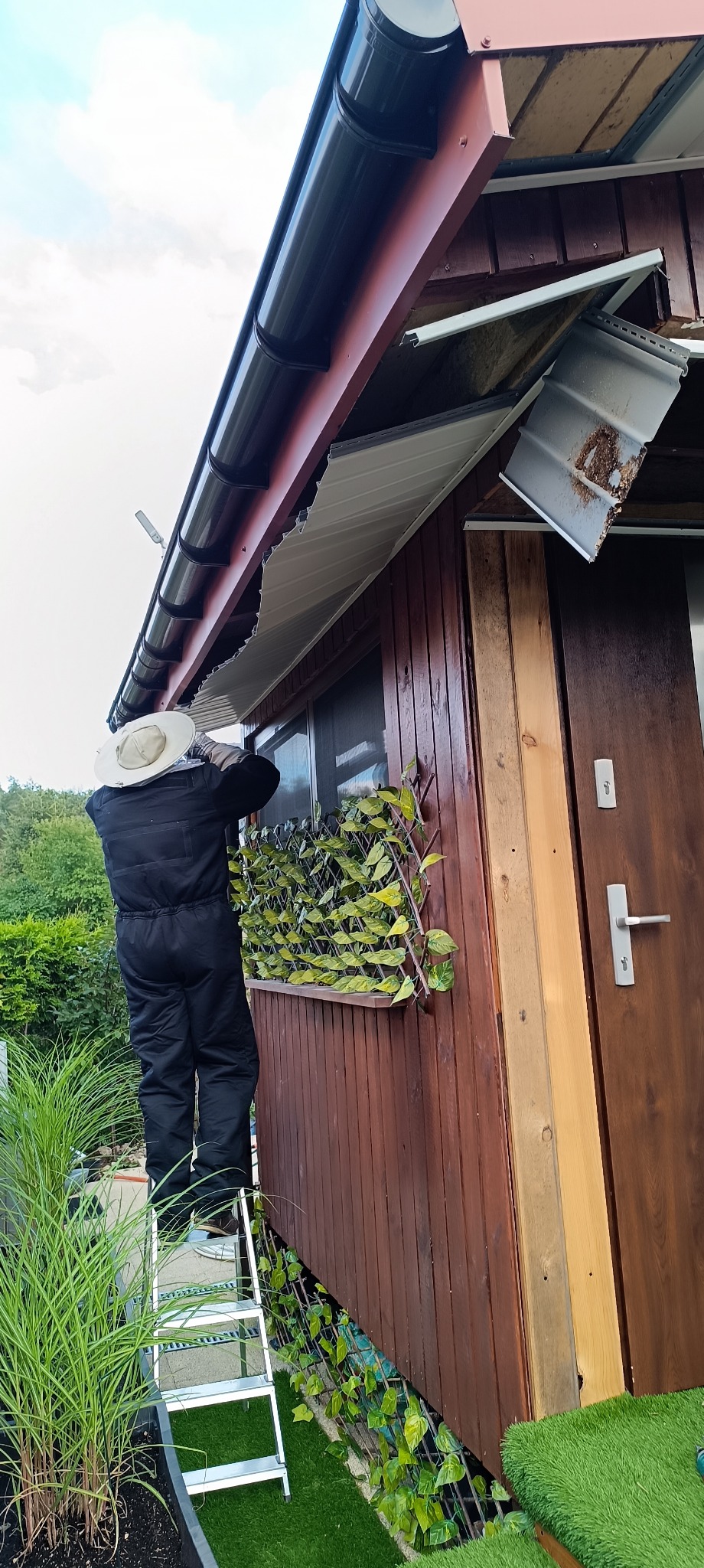 Pracownik w kombinezonie i kapeluszu na drabinie, naprawiający podbitkę dachu drewnianego domku z widocznymi uszkodzeniami i fragmentami odpadającej blachy