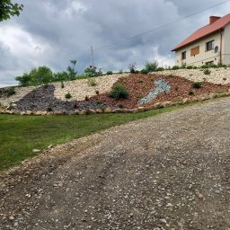 Trawa z rolki Tuchów 2