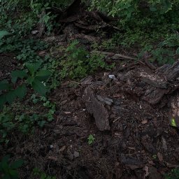 Krystian Jakubowski - Pierwszorzędne Zakładanie Trawników Opole