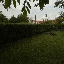 Koszenie trawy Opole 4