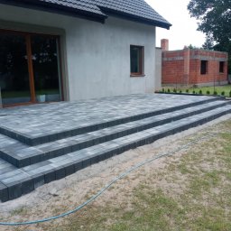 Wycinka drzew Chełmża 3