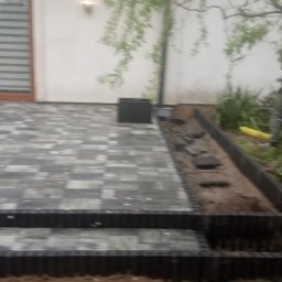 Wycinka drzew Chełmża 4