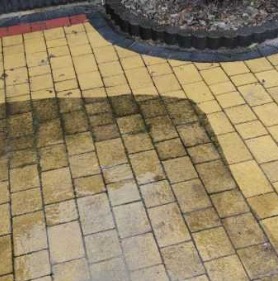 Częściowo wyczyszczona, żółta kostka brukowa z widoczną różnicą w kolorze między czystą a brudną powierzchnią, obok rabata z roślinami.