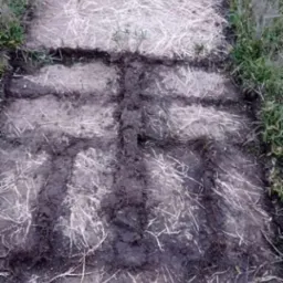 Przygotowany grunt pod fundament ogrodzenia z widocznymi wykopanymi rowami i wysypaną słomą, trawa rosnąca w tle.