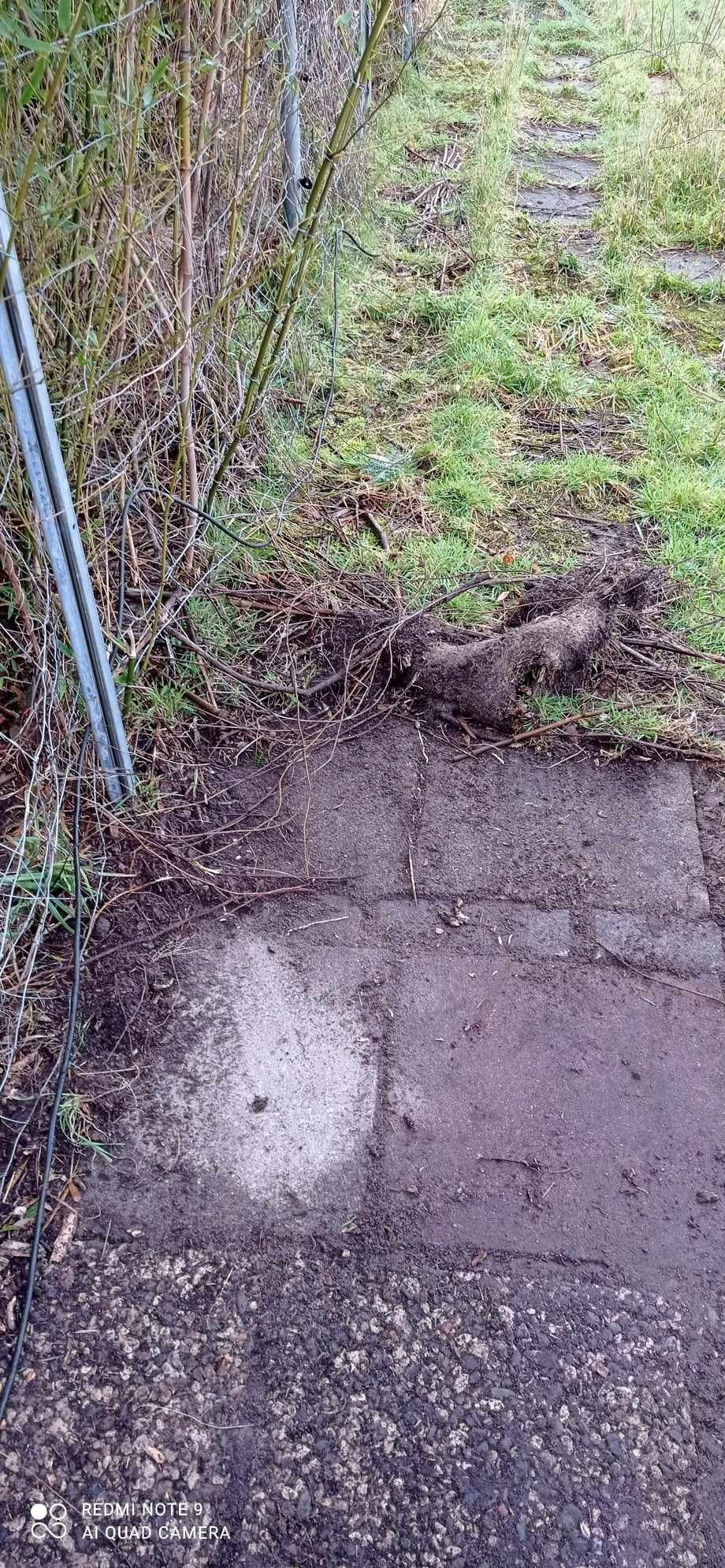 Fragment terenu po usunięciu fragmentu muru lub ogrodzenia, widoczne pozostałości betonu i korzenie, metalowe słupki w tle.
