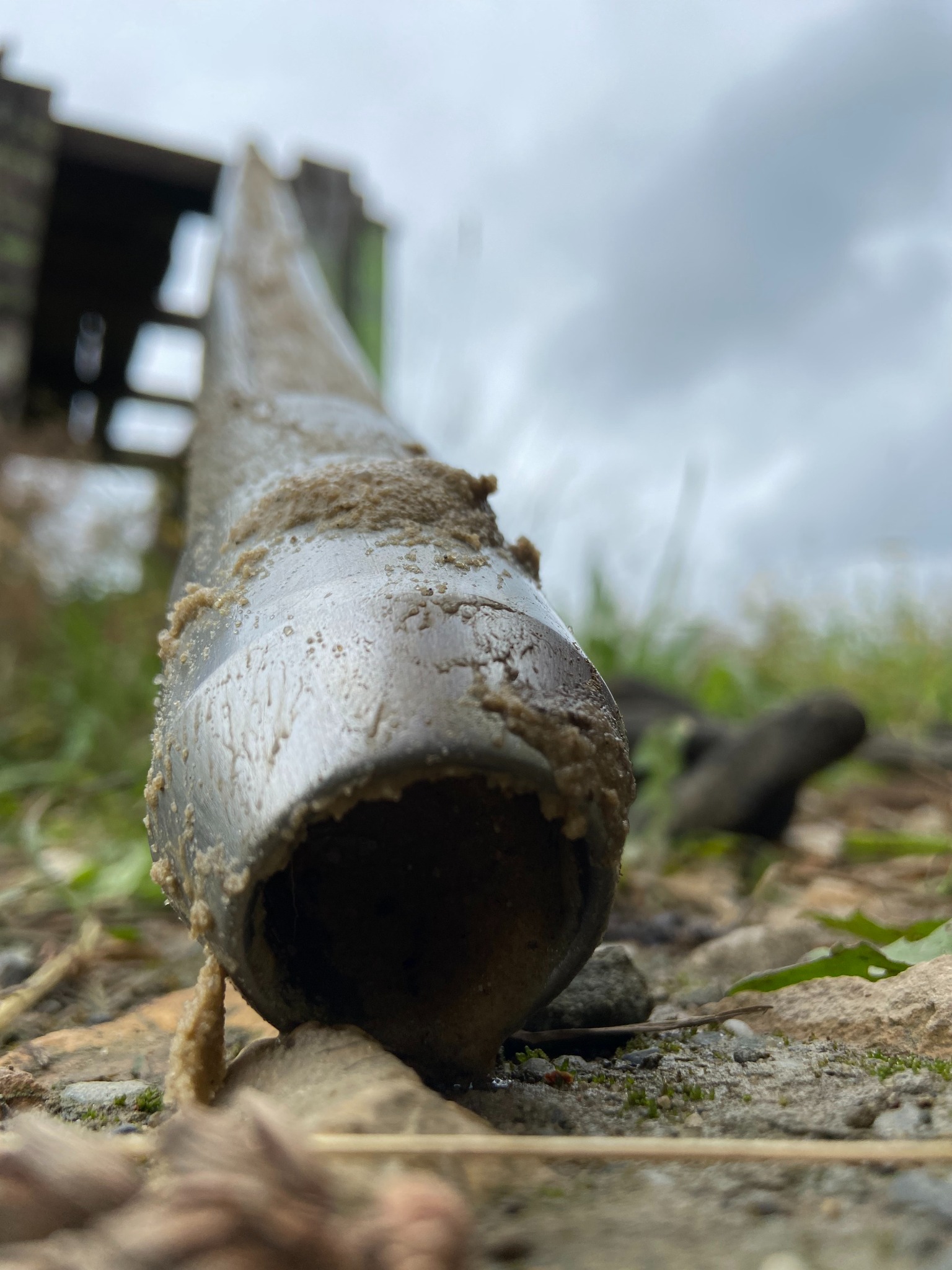 Próbnik okienkowy (RKS)