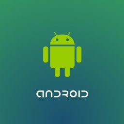 Programista Bydgoszcz 4