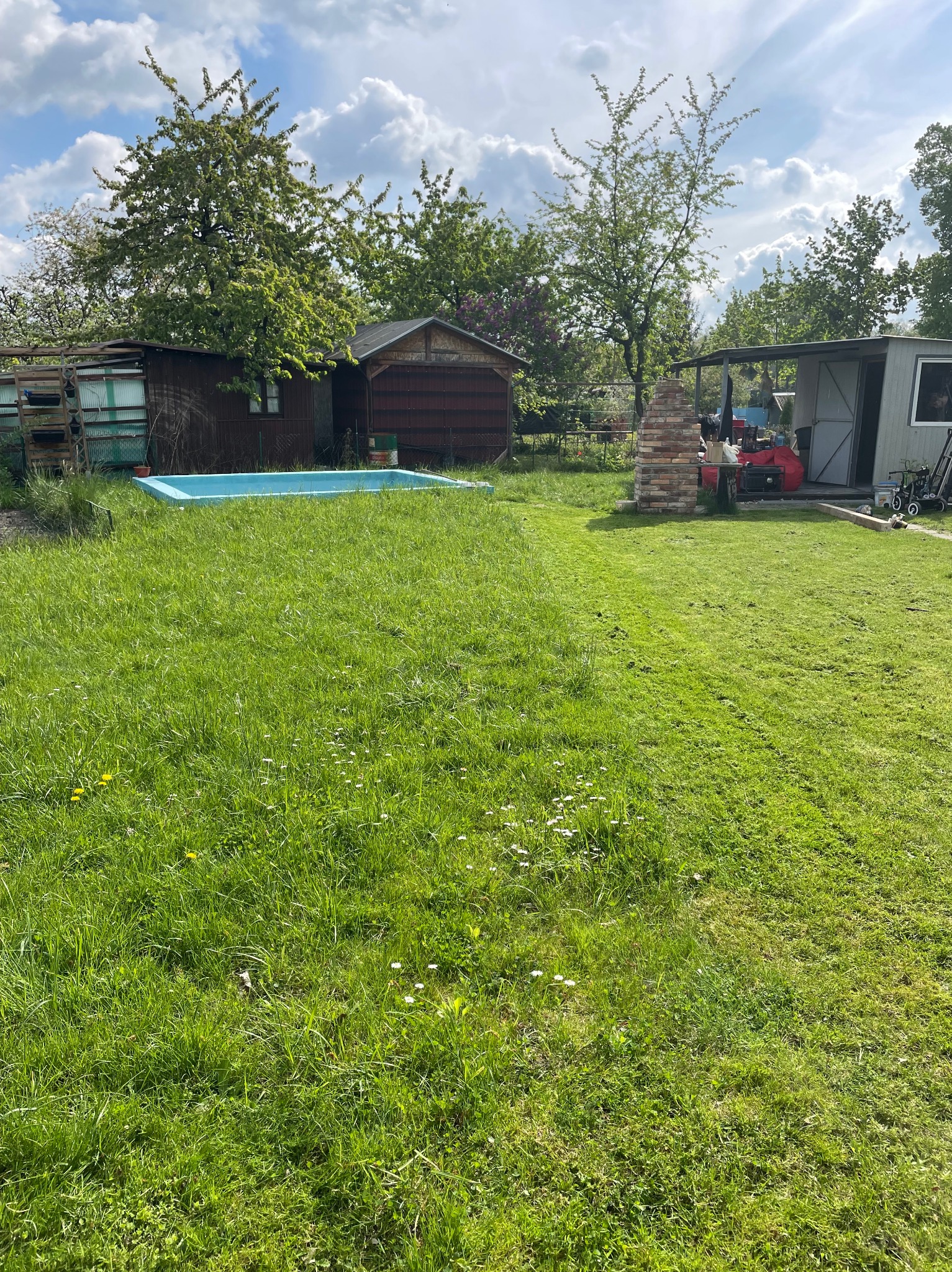 Widok na ogród z fragmentem trawnika po koszeniu, widoczna granica między trawą skoszoną a nieskoszoną, w tle zabudowania gospodarcze i basen.