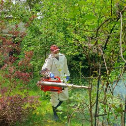 Dezynsekcja i deratyzacja Warszawa 3