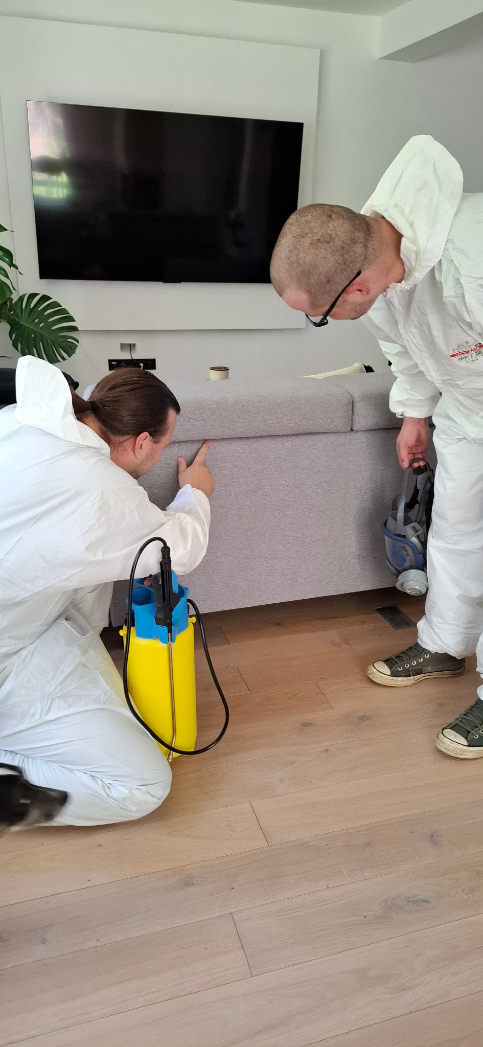 Dezynfekcja sofy przez dwóch mężczyzn w kombinezonach ochronnych, z użyciem opryskiwacza ciśnieniowego. Widoczna podłoga z paneli i fragment rośliny doniczkowej.