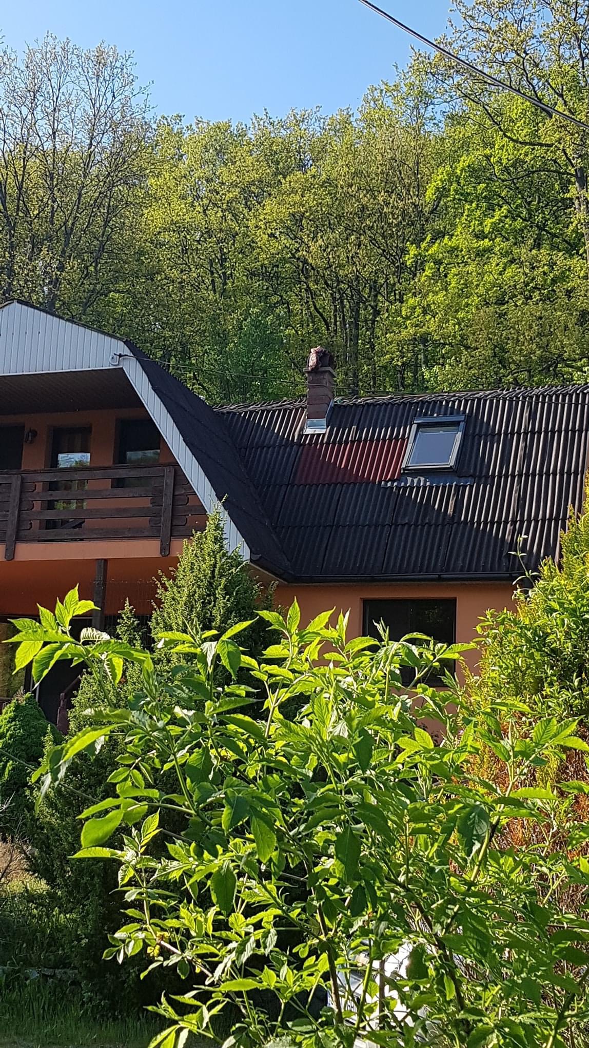 Dom jednorodzinny z ciemnym, falistym pokryciem dachowym, widoczne okno dachowe i komin, na pierwszym planie zieleń drzew i krzewów.