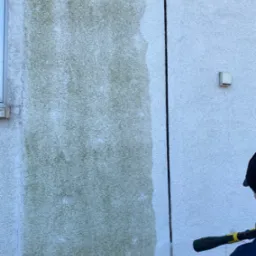 Pracownik w trakcie czyszczenia elewacji budynku myjką ciśnieniową, widoczny fragment ściany przed i po umyciu, z wyraźnym kontrastem zabrudzeń.