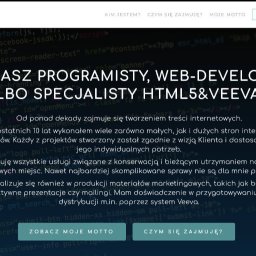 Tworzenie sklepów internetowych Piła 1